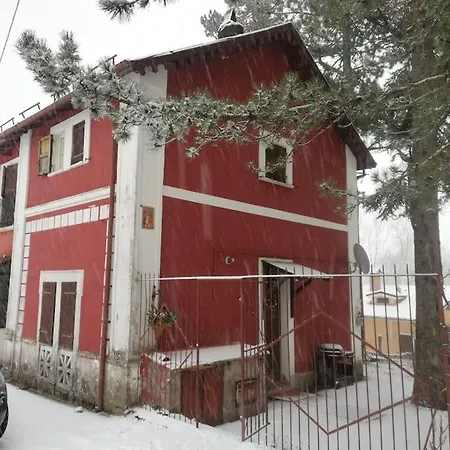 Antico Mini Momosa