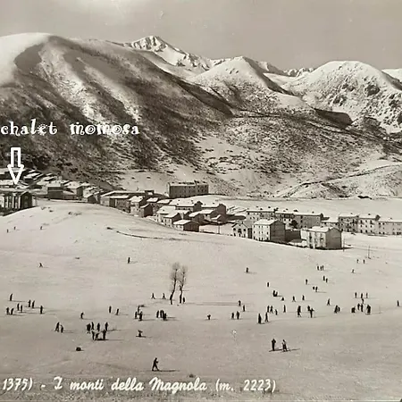 Antico Chalet Mini Momosa *